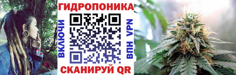 Бошки Шишки Уяр