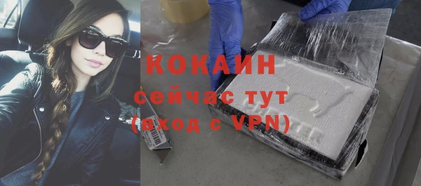 гашик Аркадак