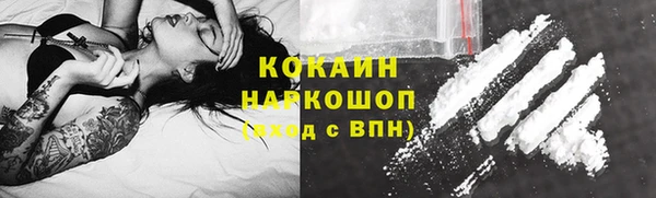 стаф Арсеньев