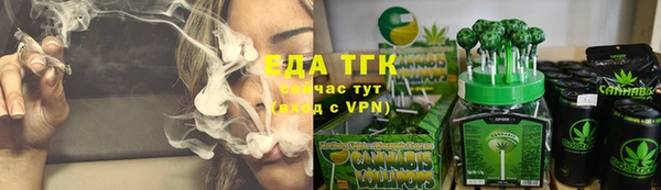 стаф Арсеньев