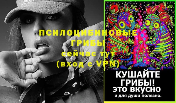 стаф Арсеньев
