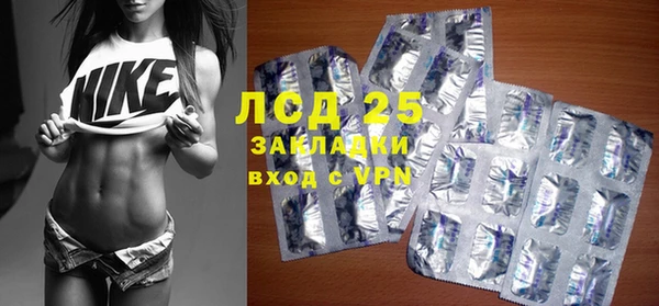 гашик Аркадак