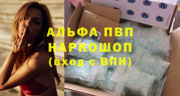стаф Арсеньев