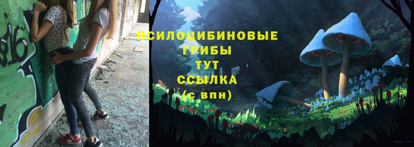 гашик Аркадак