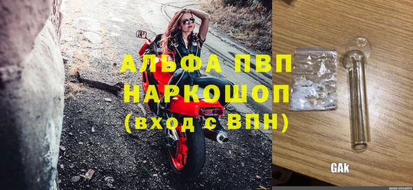 стаф Арсеньев