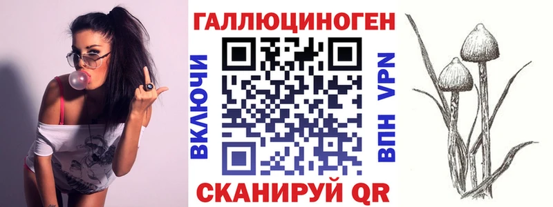 Купить закладки  Уяр  Псилоцибиновые грибы Psilocybe 